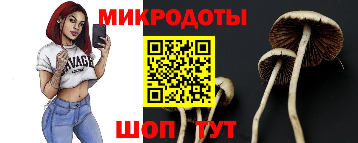 Сухой Лог  Галлюциногенные грибы Magic Shrooms  Вход с VPN 
